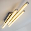 ISKUT Lámpara de Techo LED Cromo, 3 luces