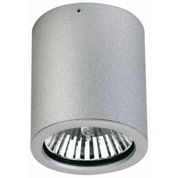 Albert 2130 Lámpara de techo Plata, 1 luz