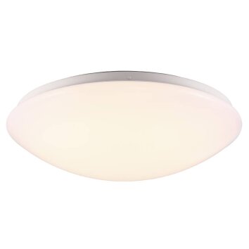 Nordlux ASK Lámpara de Techo LED Blanca, 1 luz