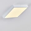 Broglen Lámpara de Techo LED Blanca, 1 luz