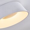 Fremont Lámpara de Techo LED Blanca, 1 luz, Mando a distancia