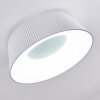 Fremont Lámpara de Techo LED Blanca, 1 luz, Mando a distancia