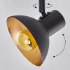 Neiden Lámpara de Techo Negro-dorado, 4 luces