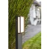 Lutec Qubo Poste de Jardín LED Antracita, 1 luz