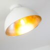 Lámpara de Techo Saro Blanca, 1 luz