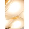 Eglo GUADIANO Lámpara de techo LED Níquel-mate, 4 luces