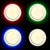 Brilliant Vilma Lámpara de Techo LED Plata, Blanca, 1 luz, Mando a distancia, Cambia de color