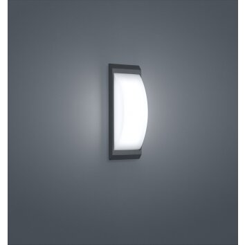 Helestra Kapo Aplique para exterior LED Gris, 1 luz