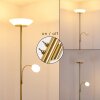 Gismaro Lámpara de Pie Latón, 3 luces