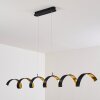 Rezat Lámpara Colgante LED Negro-dorado, 6 luces