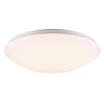 Nordlux ASK Lámpara de Techo LED Blanca, 1 luz, Sensor de movimiento