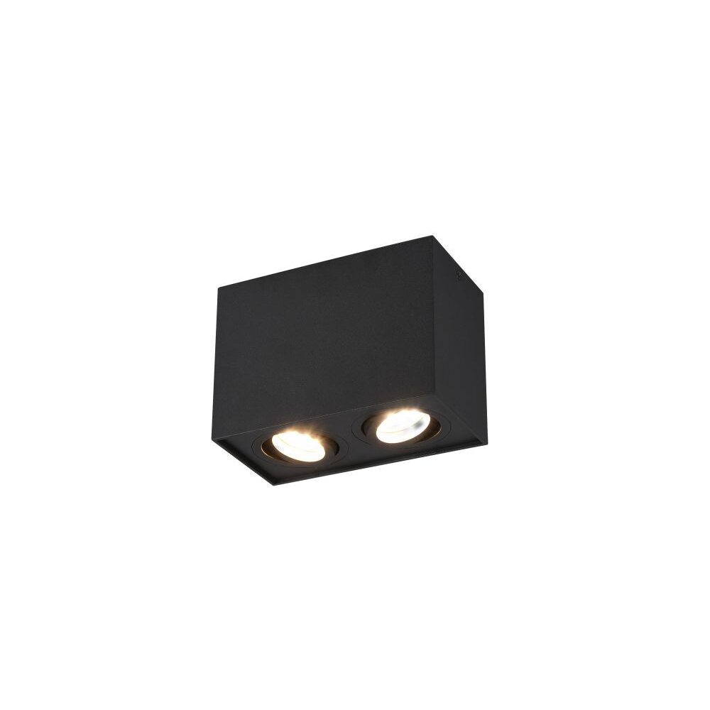 Lámpara de Techo Trio Leuchten BISCUIT Negro, 2 luces main product photo