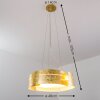 Novara Lámpara suspendida dorado, 3 luces