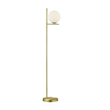 Trio PURE Lámpara de Pie Latón, 1 luz