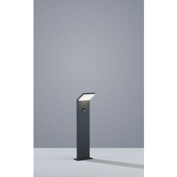 Trio PEARL Poste de Jardín LED Antracita, 1 luz, Sensor de movimiento