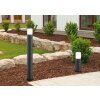 Trio HOOSIC Poste de Jardín Antracita, 1 luz, Sensor de movimiento