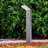 Korup Poste de Jardín LED Antracita, 1 luz, Sensor de movimiento