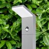 Korup Poste de Jardín LED Antracita, 1 luz, Sensor de movimiento