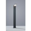 Trio PEARL Poste de Jardín LED Antracita, 1 luz, Sensor de movimiento