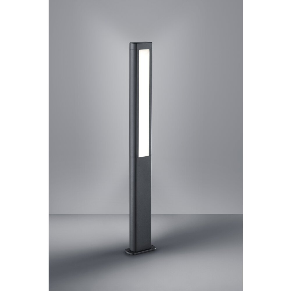 Trio RHINE Poste de Jardín LED Antracita, 2 luces main product photo