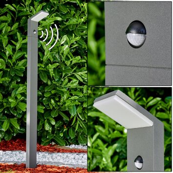 Korup Poste de Jardín LED Antracita, 1 luz, Sensor de movimiento