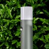 Buhrkall Poste de Jardín Antracita, 1 luz, Sensor de movimiento
