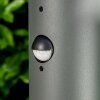 Buhrkall Poste de Jardín Antracita, 1 luz, Sensor de movimiento