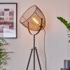 Wesa Lámpara de Pie Níquel envejecido, 1 luz
