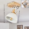 Orny Lámpara de Techo Marrón, Blanca, 1 luz