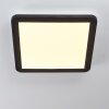 Siguna Lámpara de Techo LED Negro, Blanca, 1 luz