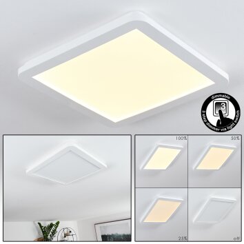 Siguna Lámpara de Techo LED Blanca, 1 luz