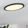 Siguna Lámpara de Techo LED Negro, Blanca, 1 luz