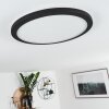 Siguna Lámpara de Techo LED Negro, Blanca, 1 luz