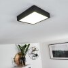 Kragos Lámpara de Techo LED Negro, 1 luz