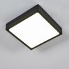 Kragos Lámpara de Techo LED Negro, 1 luz