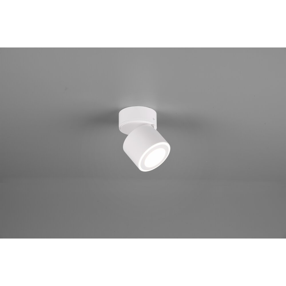 Trio Taurus Lámpara de Techo LED Blanca, 2 luces main product photo