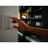 Philips Hue Ambiance White Runner Set básico por spot de techo Negro, 2 luces, Mando a distancia