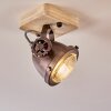 Herford Lámpara de Techo Madera clara, Cobre, 1 luz