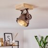 Herford Lámpara de Techo Madera clara, Cobre, 1 luz
