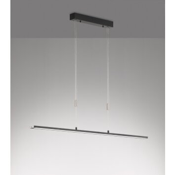 Fischer & Honsel  Metz TW Lámpara Colgante LED Negro, 1 luz