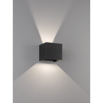 Fischer & Honsel  Wall Aplique LED Negro, 2 luces
