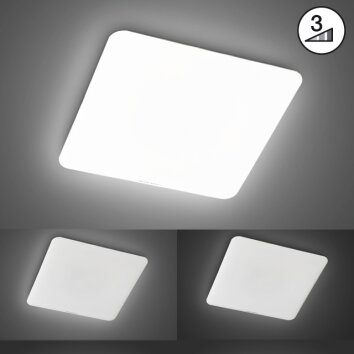 Fischer & Honsel  Aldo Lámpara de Techo LED Blanca, 1 luz