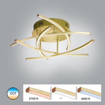 Fischer & Honsel  Cross TW Lámpara de Techo LED Latón, 5 luces, Mando a distancia