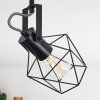 Maracambo Lámpara de Techo Madera oscura, Negro, 3 luces