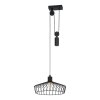 Eglo WINKWORTH Lámpara Colgante Negro, 1 luz