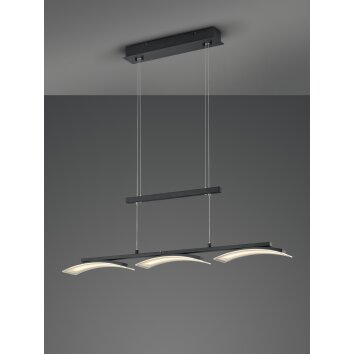 Reality Ikaria Lámpara Colgante LED Negro, 3 luces