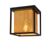 Lucide SANSA Lámpara de Techo Negro, 1 luz