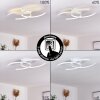 Guinea Lámpara de Techo LED Blanca, 2 luces