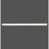 Paul Neuhaus AMON Lámpara para armarios LED Plata, 1 luz, Sensor de movimiento