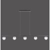 Paul Neuhaus WIDOW Lámpara Colgante LED Negro, 5 luces